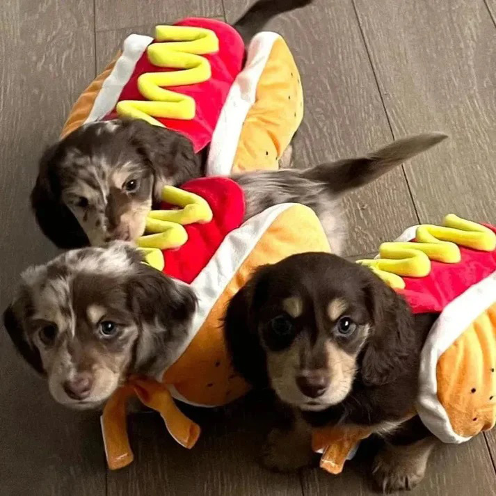 Positioning Strategy Marketing: Halloween Spend Tops Record $13.1B